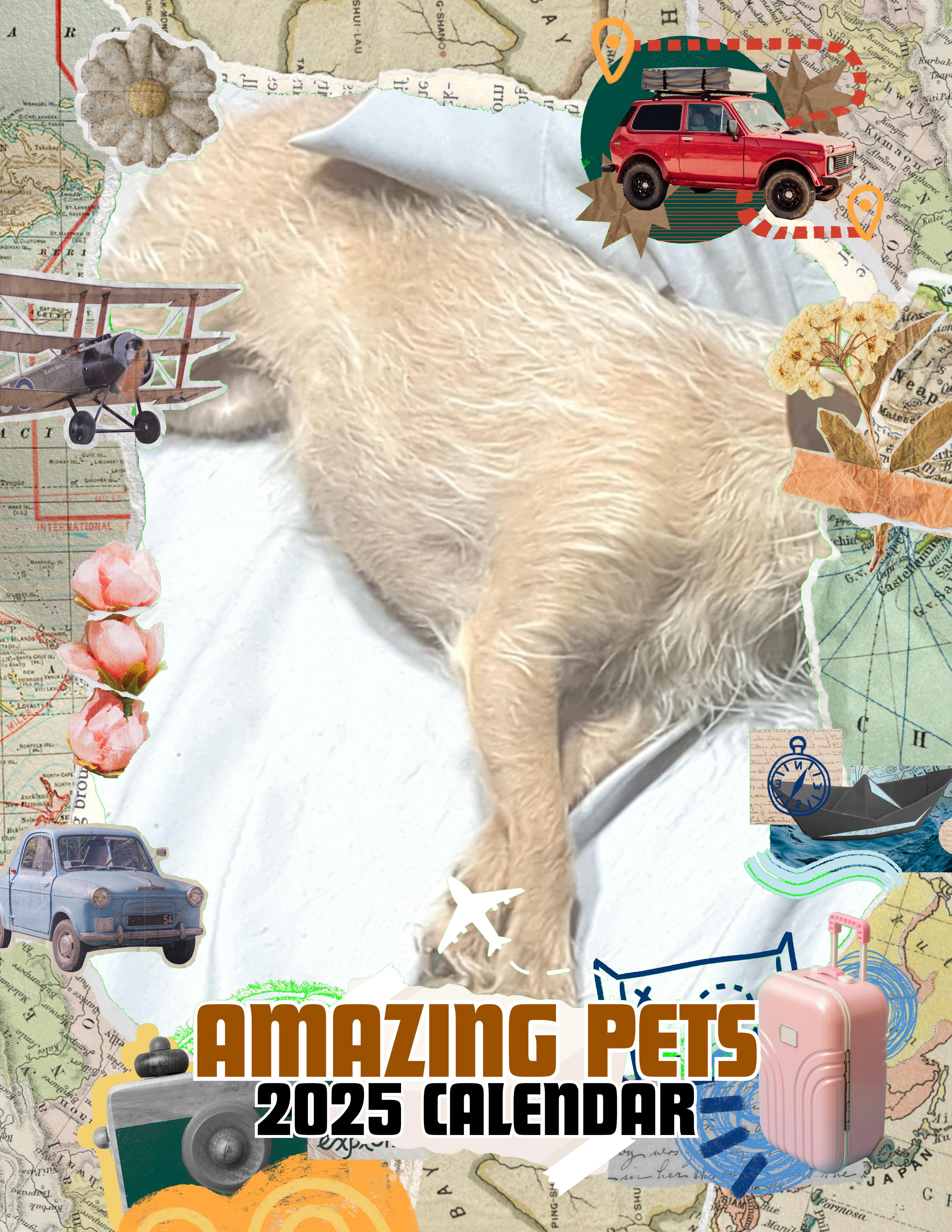 Amazing Pets: 2025 Wall Calendar (Pre-Order)