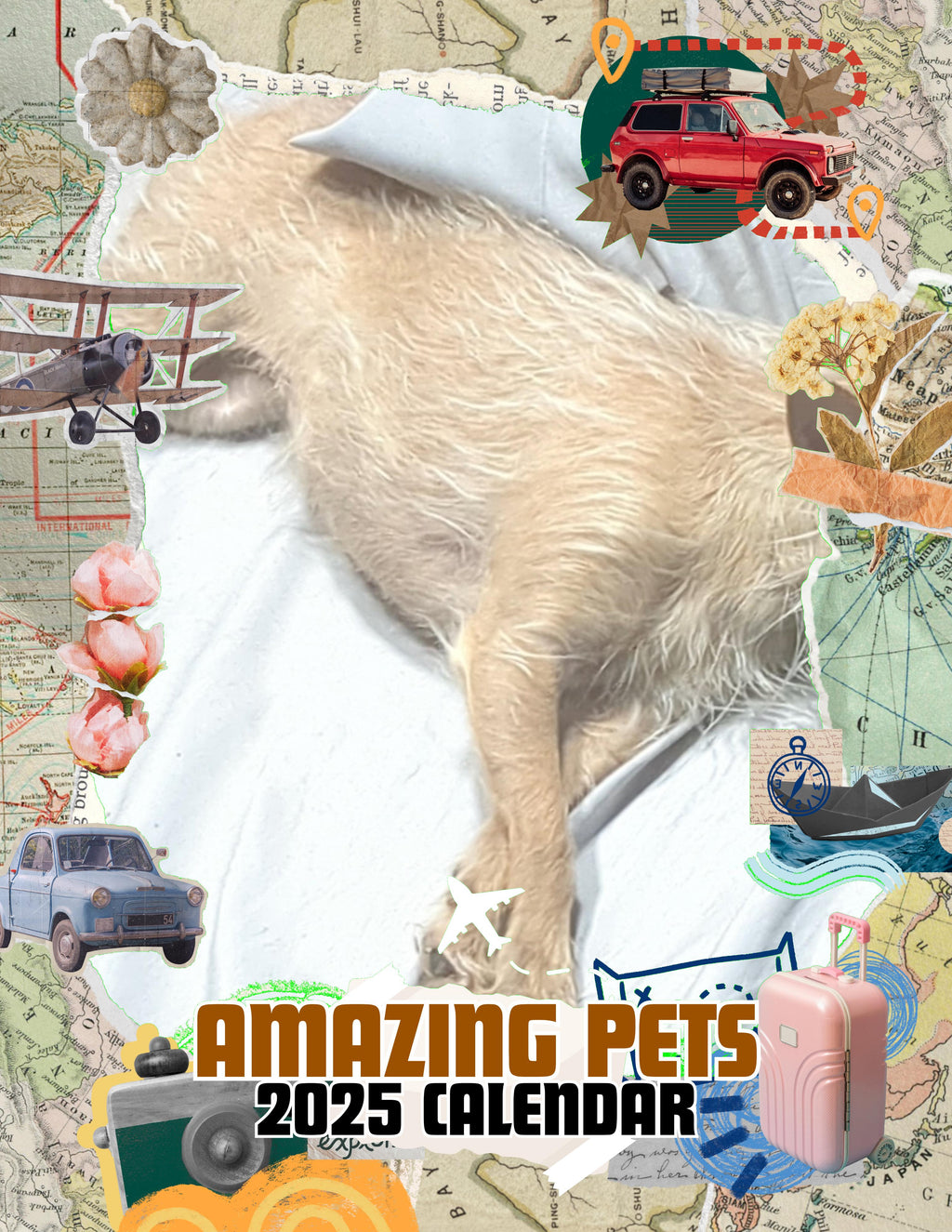 Amazing Pets: 2025 Wall Calendar (Pre-Order)
