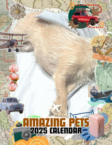 Amazing Pets: 2025 Wall Calendar (Pre-Order)