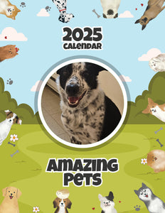 Amazing Pets: 2025 Wall Calendar (Pre-Order)