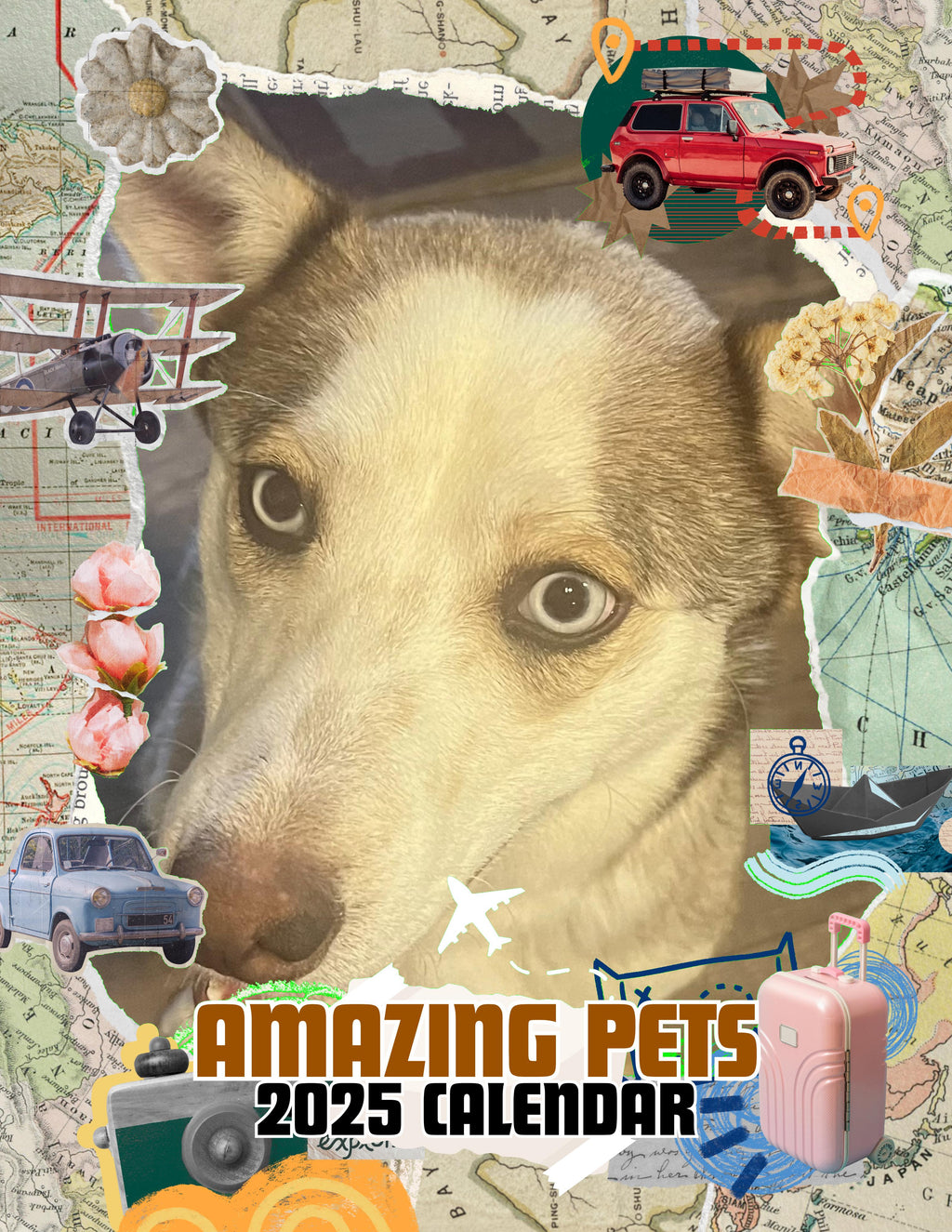 Amazing Pets: 2025 Wall Calendar (Pre-Order)