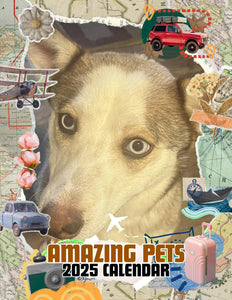 Amazing Pets: 2025 Wall Calendar (Pre-Order)