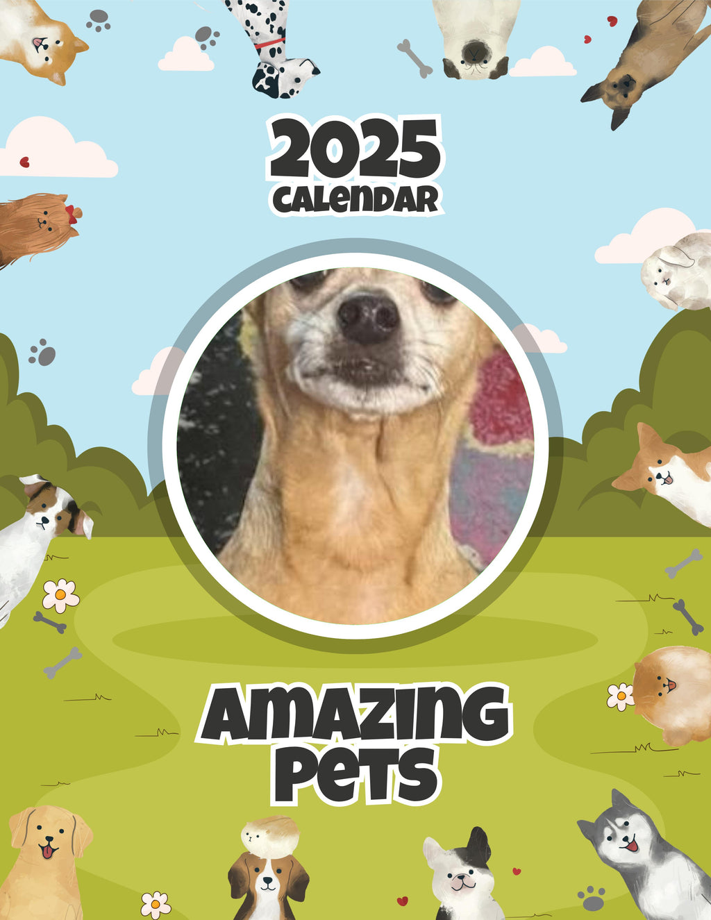 Amazing Pets: 2025 Wall Calendar (Pre-Order)
