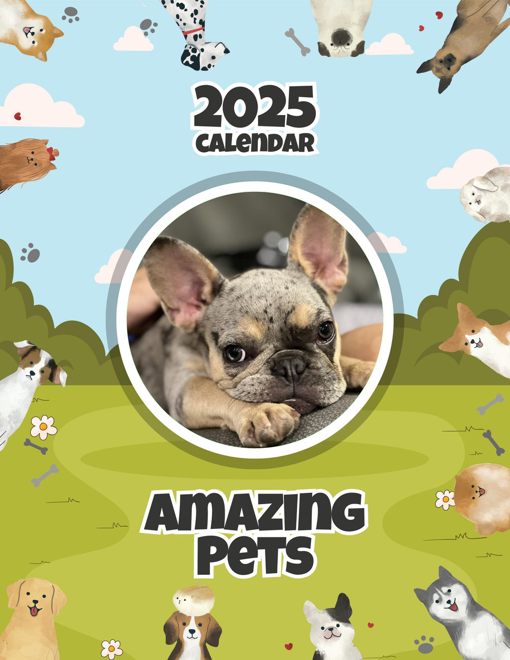 Amazing Pets: 2025 Wall Calendar (Pre-Order)
