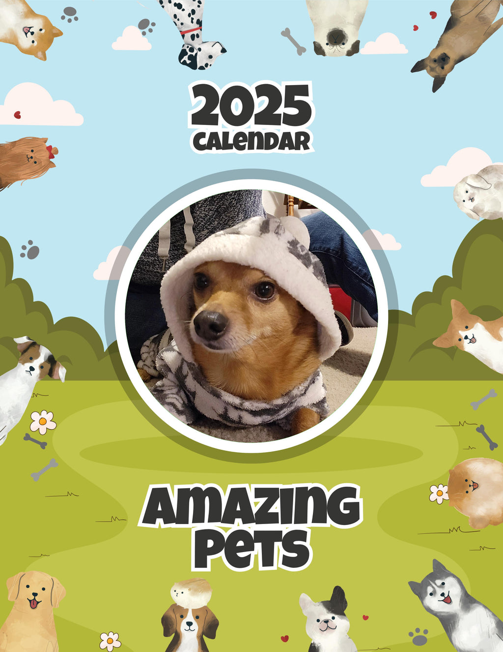 Amazing Pets: 2025 Wall Calendar (Pre-Order)
