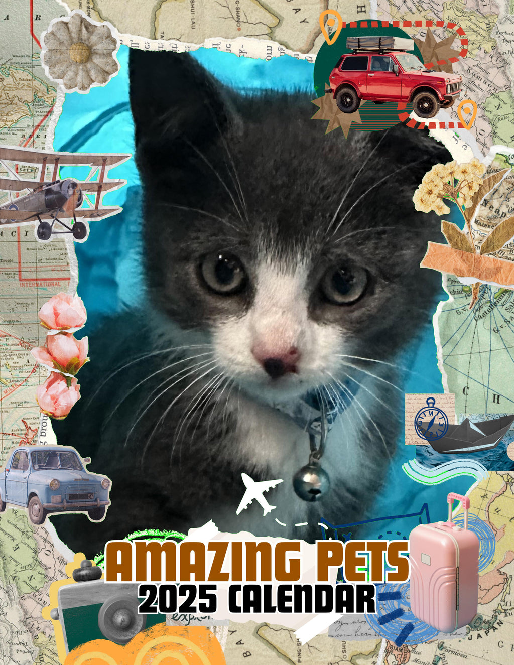Amazing Pets: 2025 Wall Calendar (Pre-Order)