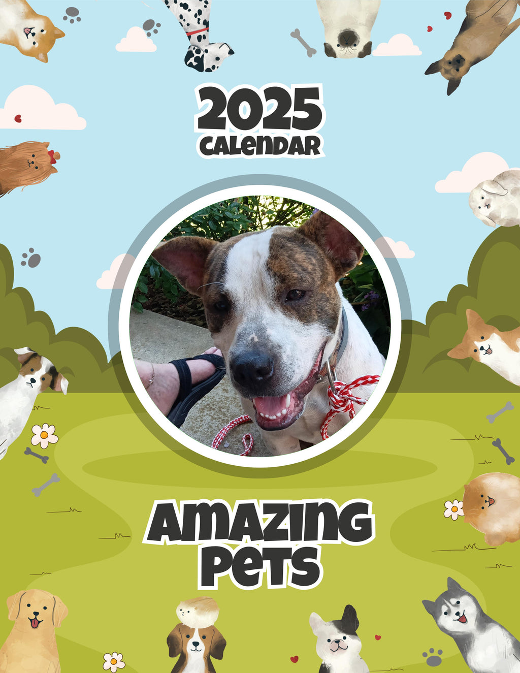 Amazing Pets: 2025 Wall Calendar (Pre-Order)