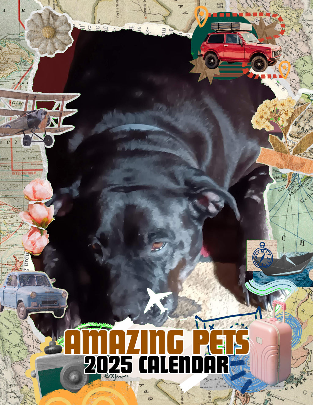 Amazing Pets: 2025 Wall Calendar (Pre-Order)