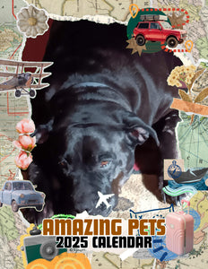 Amazing Pets: 2025 Wall Calendar (Pre-Order)
