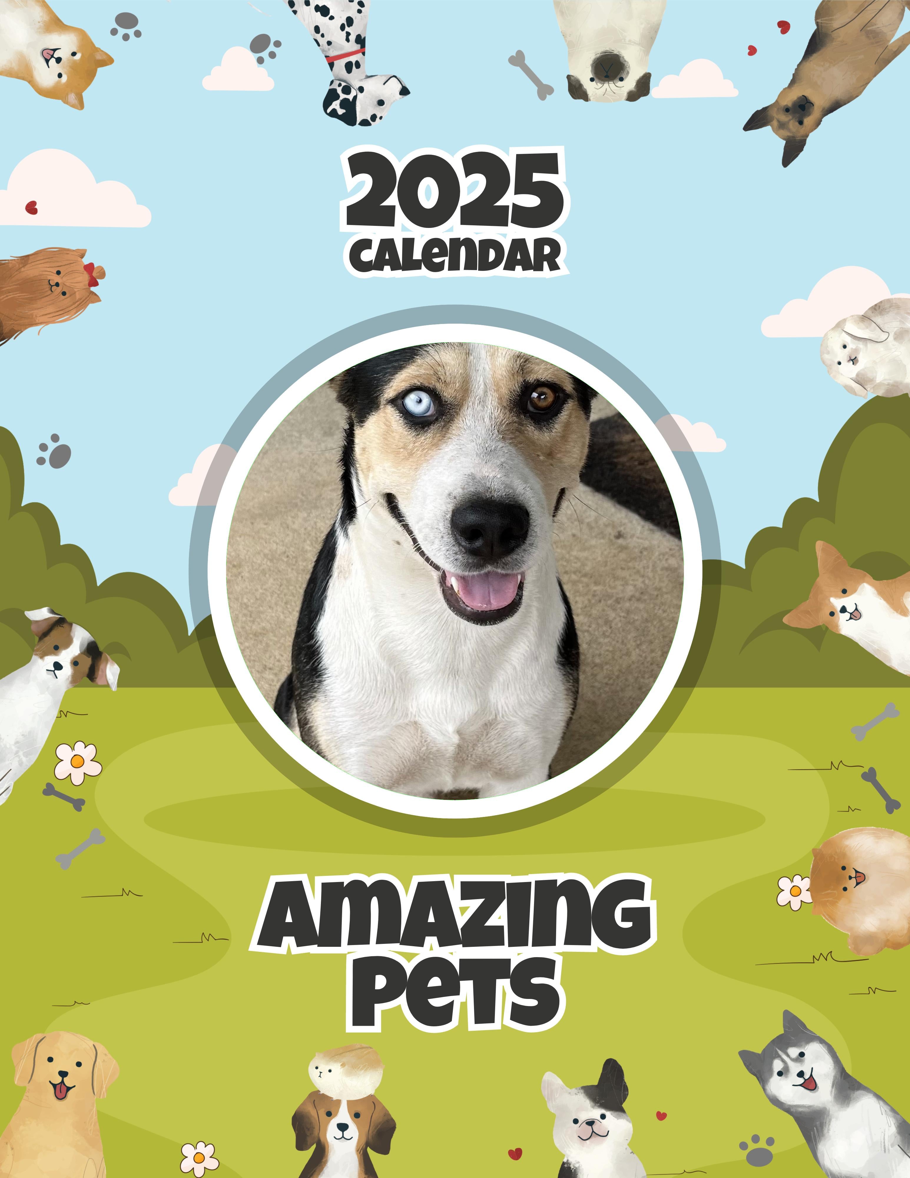 Amazing Pets: 2025 Wall Calendar (Pre-Order)
