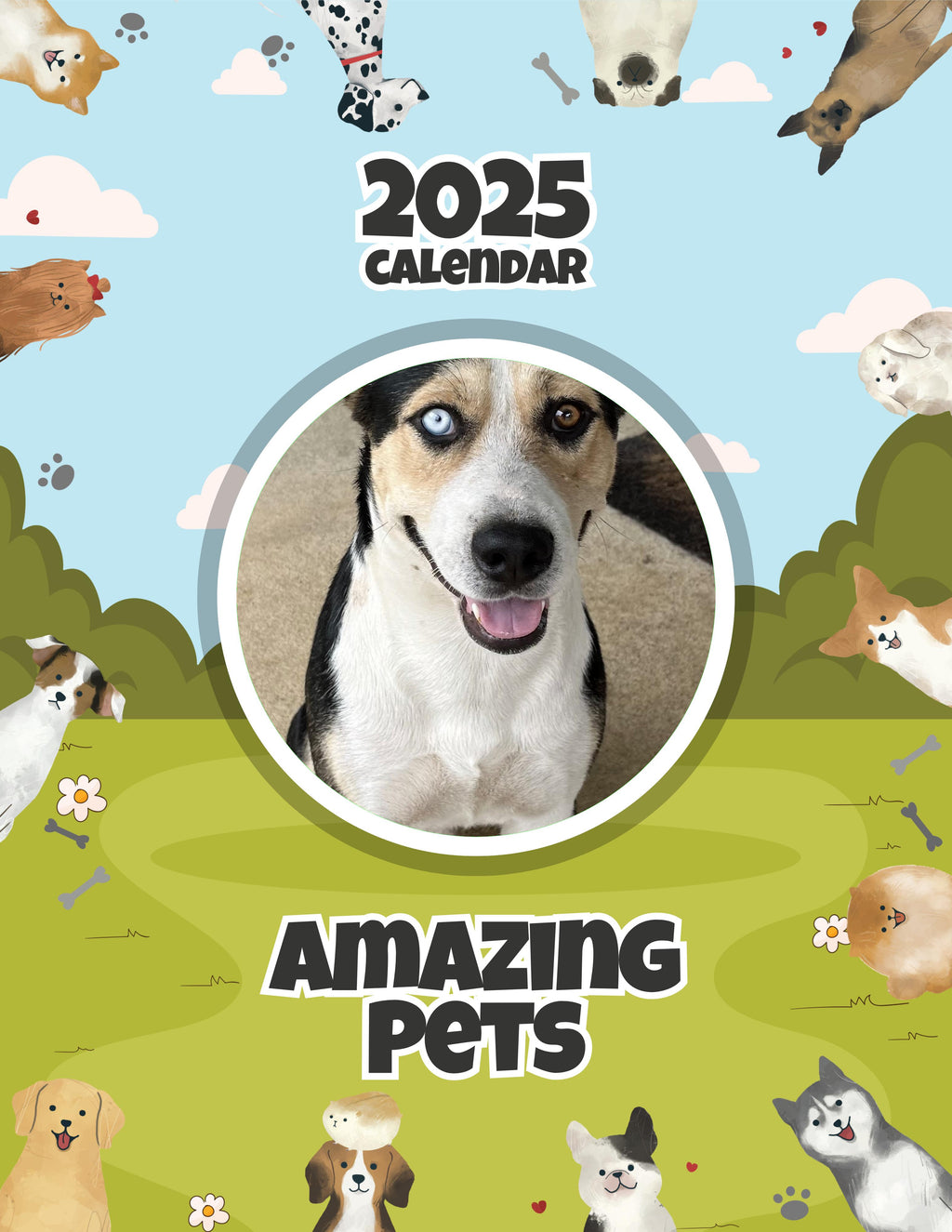 Amazing Pets: 2025 Wall Calendar (Pre-Order)