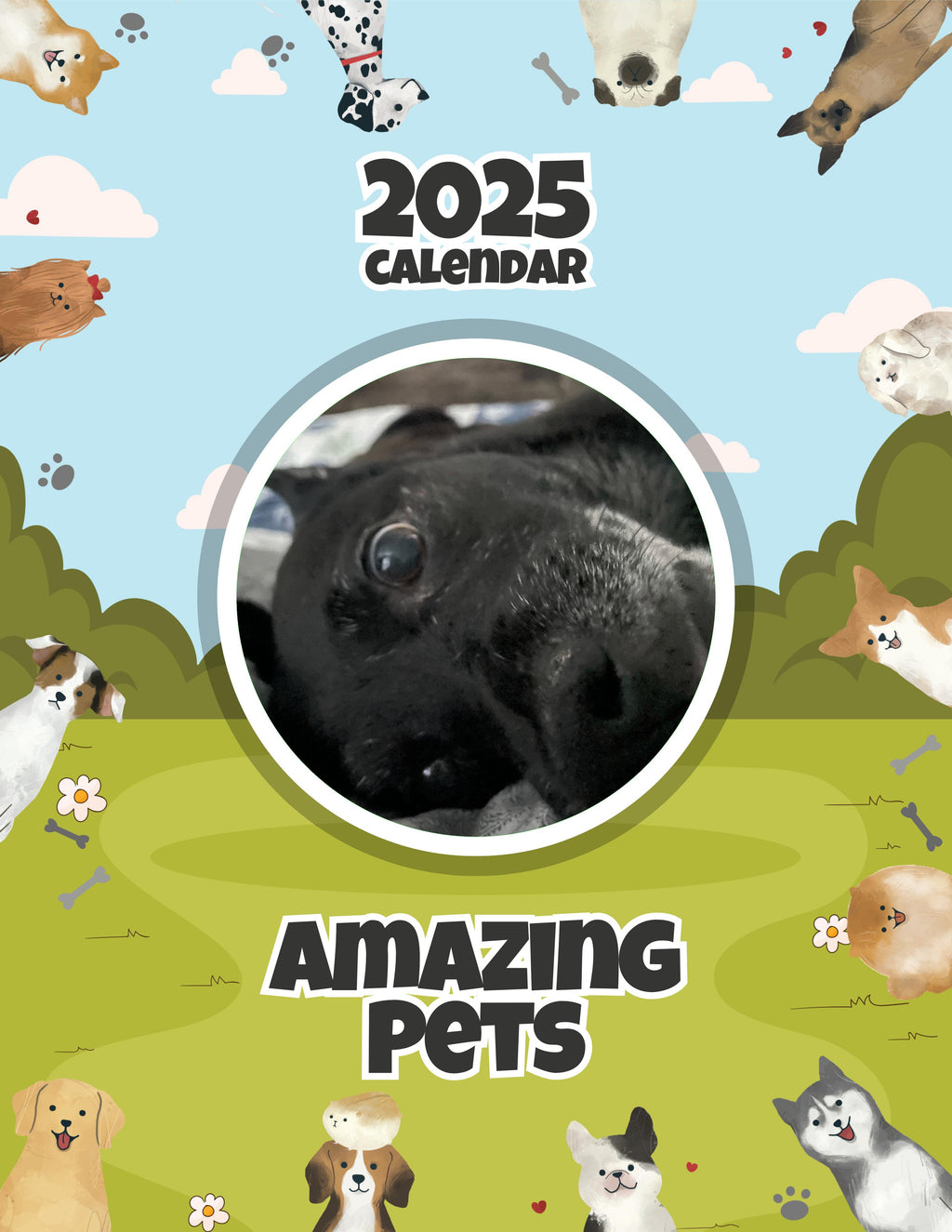 Amazing Pets: 2025 Wall Calendar (Pre-Order)