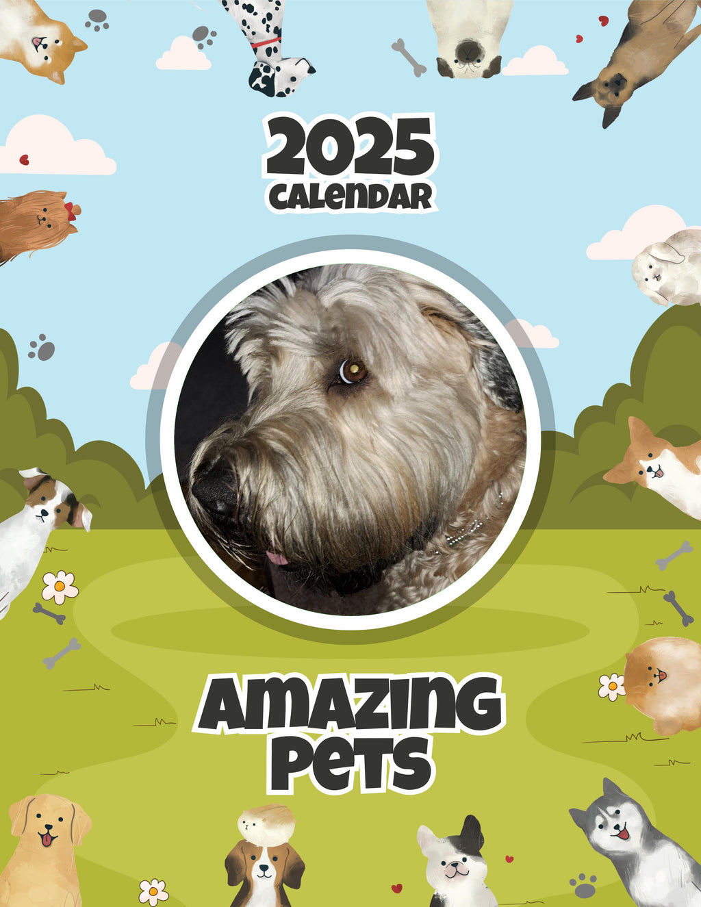 Amazing Pets: 2025 Wall Calendar (Pre-Order)