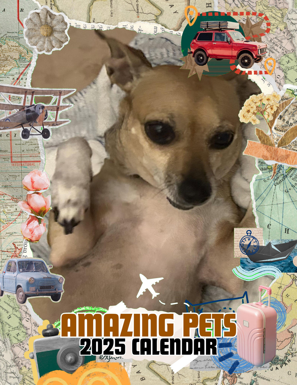 Amazing Pets: 2025 Wall Calendar (Pre-Order)