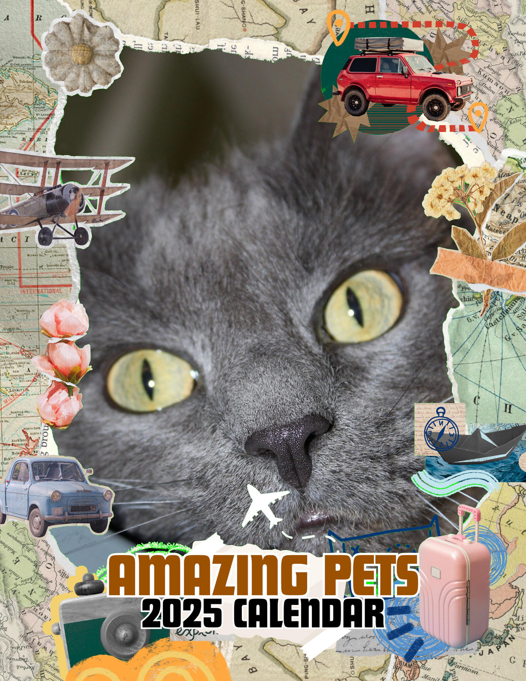 Amazing Pets: 2025 Wall Calendar (Pre-Order)