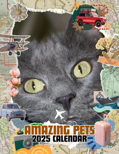 Amazing Pets: 2025 Wall Calendar (Pre-Order)