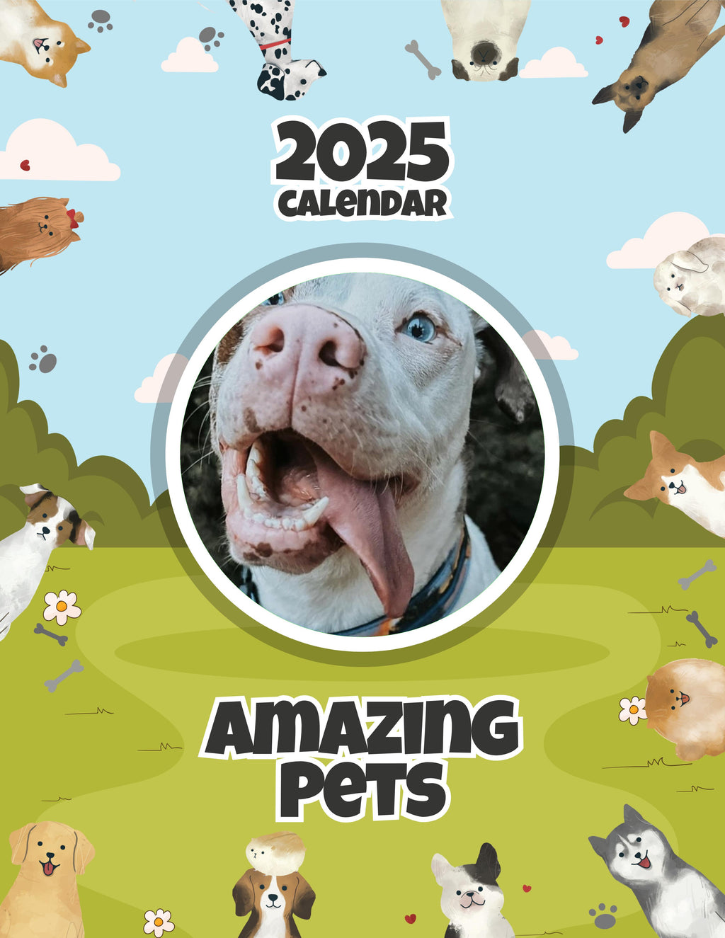 Amazing Pets: 2025 Wall Calendar (Pre-Order)