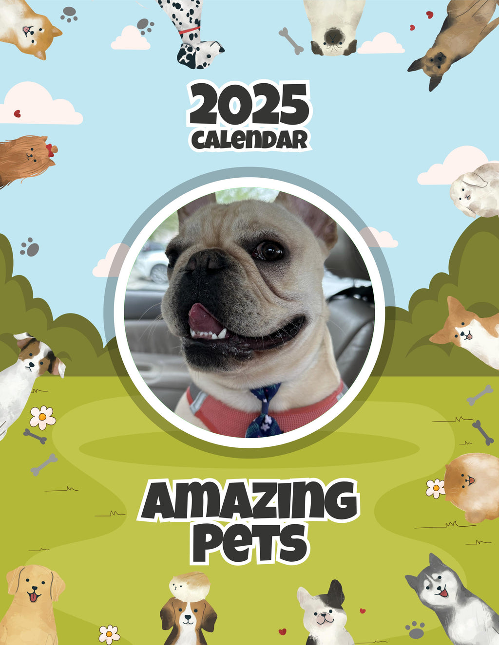 Amazing Pets: 2025 Wall Calendar (Pre-Order)