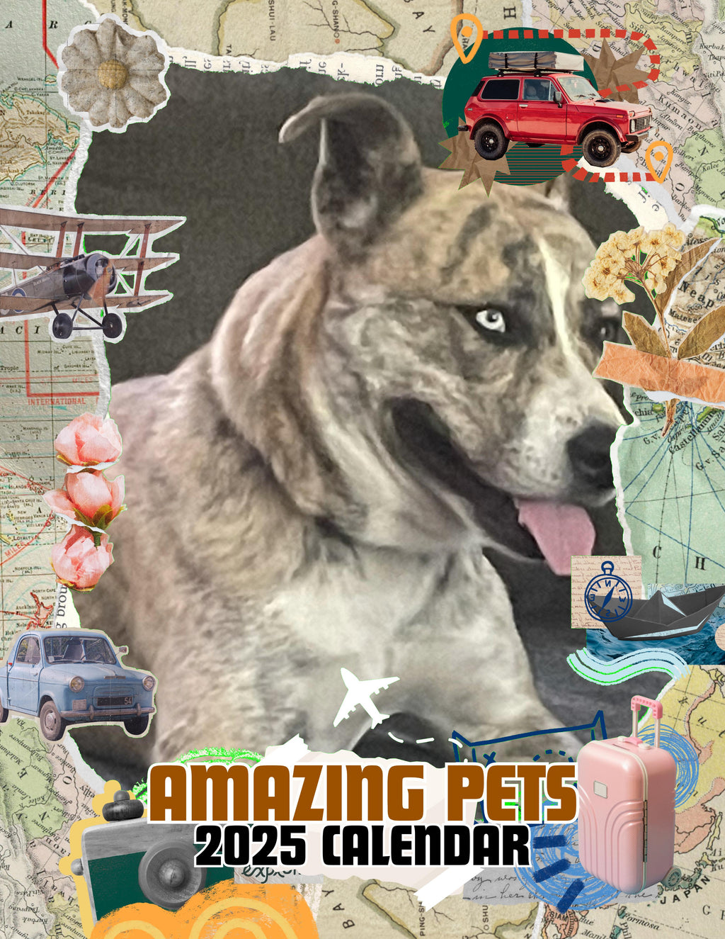 Amazing Pets: 2025 Wall Calendar (Pre-Order)