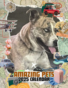 Amazing Pets: 2025 Wall Calendar (Pre-Order)