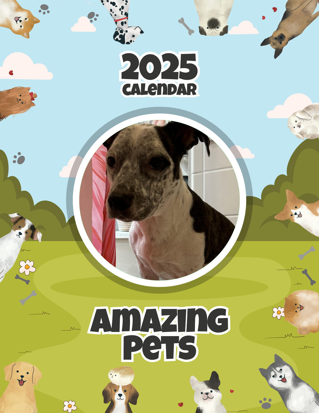 Amazing Pets: 2025 Wall Calendar (Pre-Order)