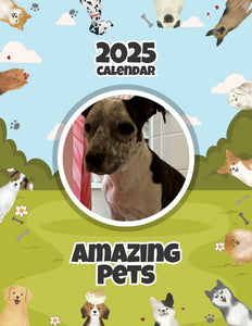 Amazing Pets: 2025 Wall Calendar (Pre-Order)