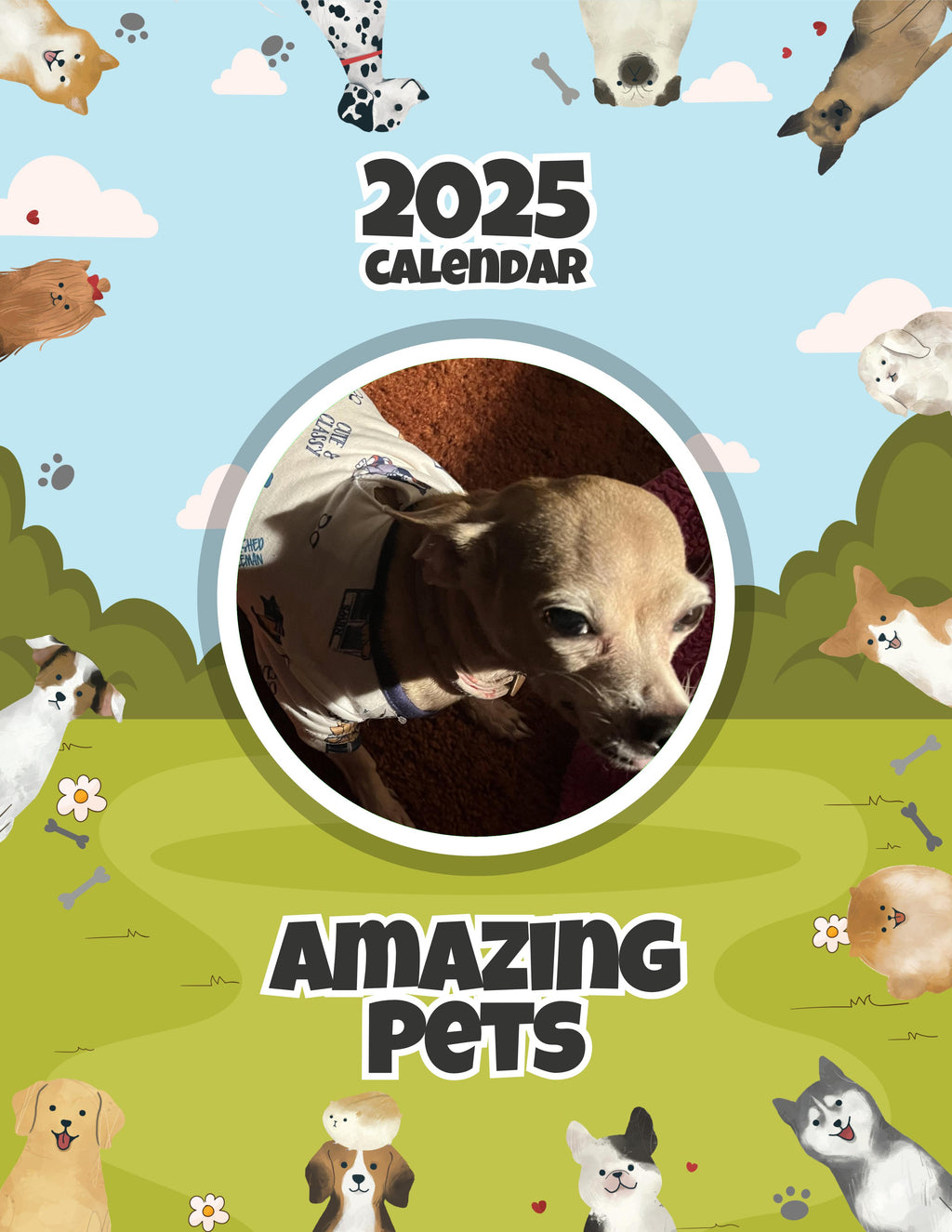 Amazing Pets: 2025 Wall Calendar (Pre-Order)
