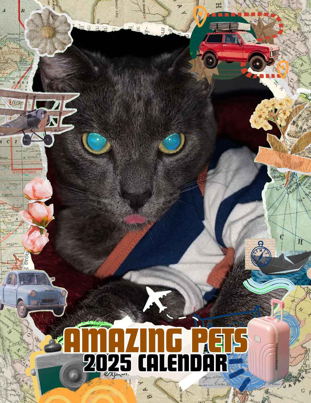 Amazing Pets: 2025 Wall Calendar (Pre-Order)