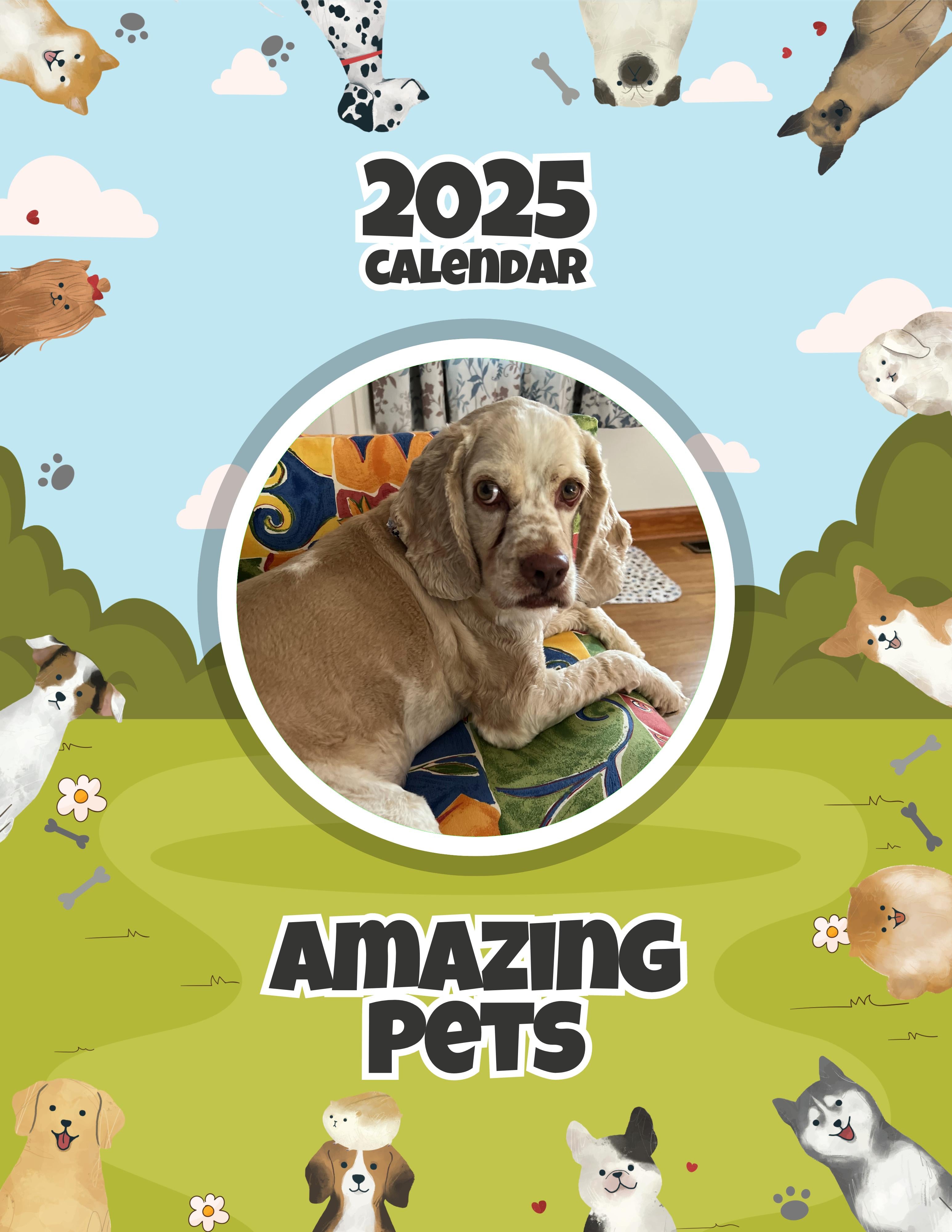 Amazing Pets: 2025 Wall Calendar (Pre-Order)