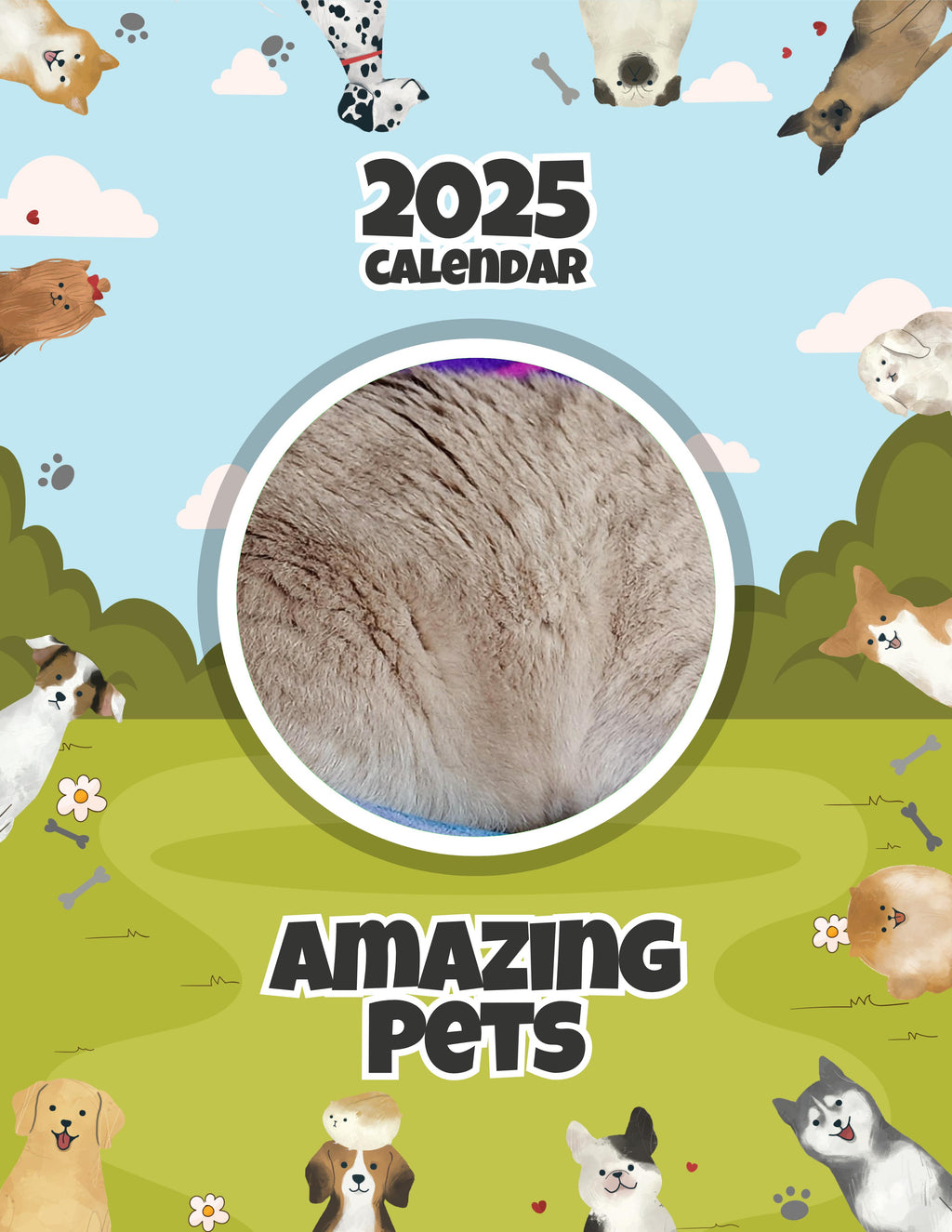 Amazing Pets: 2025 Wall Calendar (Pre-Order)
