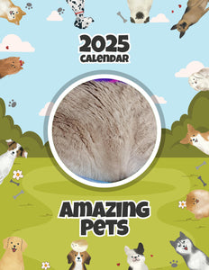 Amazing Pets: 2025 Wall Calendar (Pre-Order)