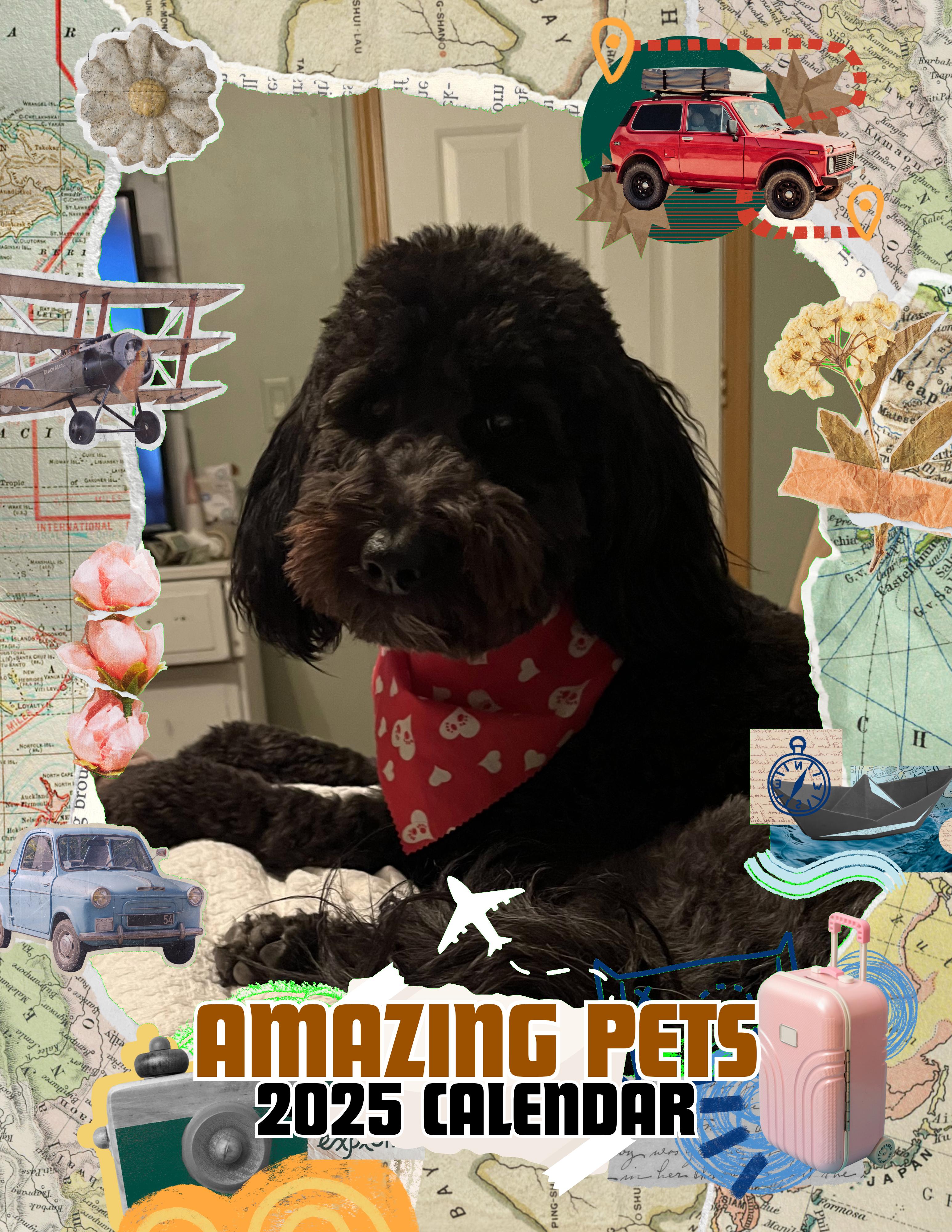 Amazing Pets: 2025 Wall Calendar (Pre-Order)