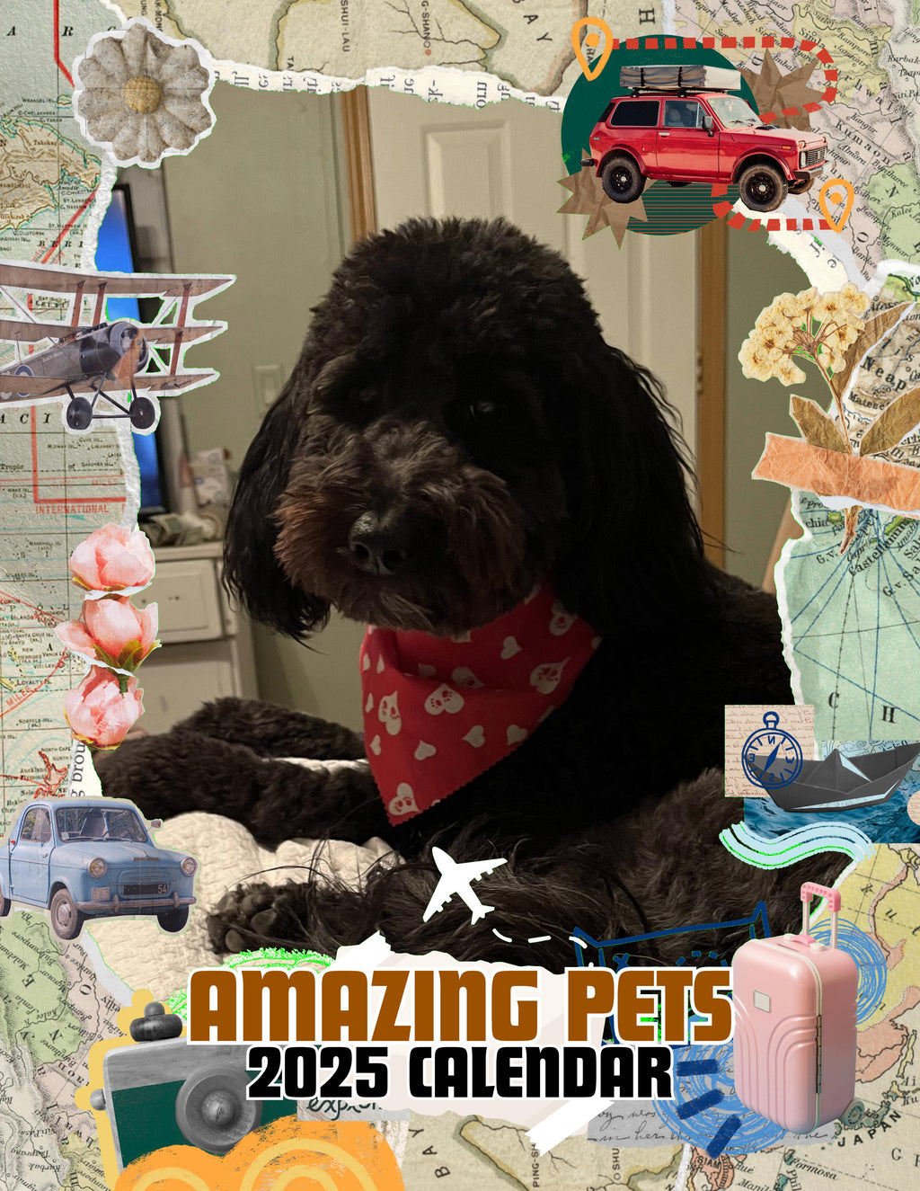 Amazing Pets: 2025 Wall Calendar (Pre-Order)