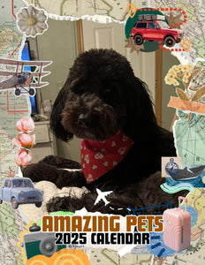 Amazing Pets: 2025 Wall Calendar (Pre-Order)