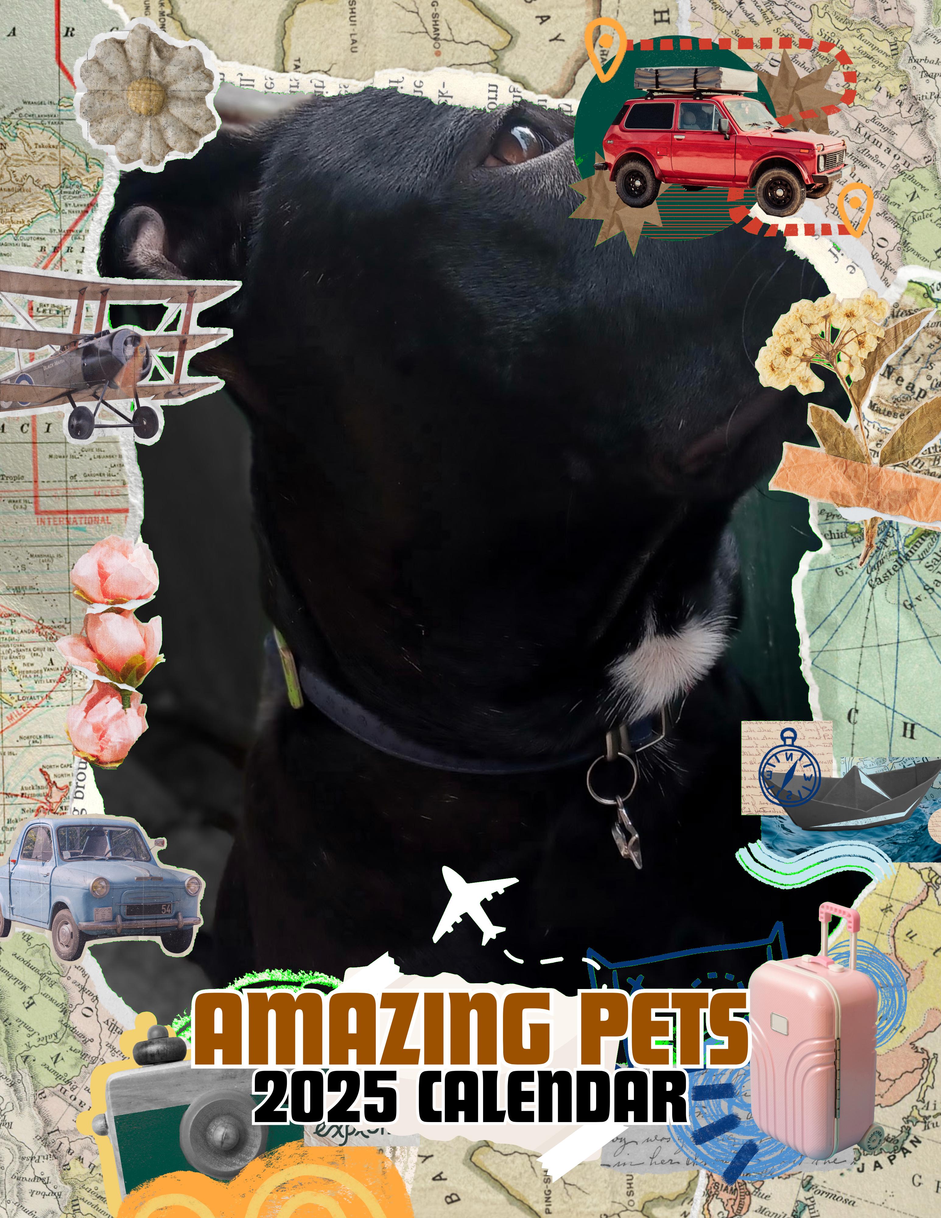 Amazing Pets: 2025 Wall Calendar (Pre-Order)