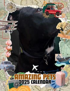 Amazing Pets: 2025 Wall Calendar (Pre-Order)