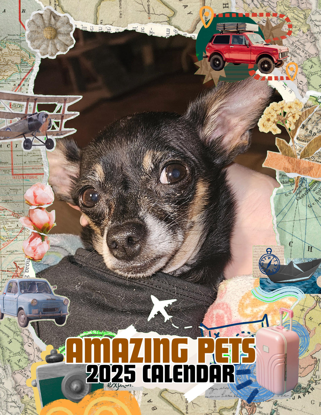 Amazing Pets: 2025 Wall Calendar (Pre-Order)