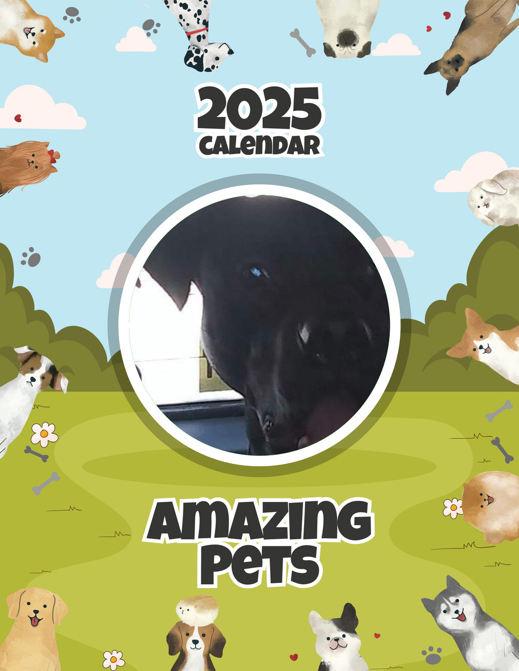 Amazing Pets: 2025 Wall Calendar (Pre-Order)