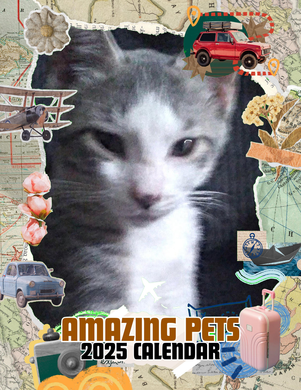 Amazing Pets: 2025 Wall Calendar (Pre-Order)