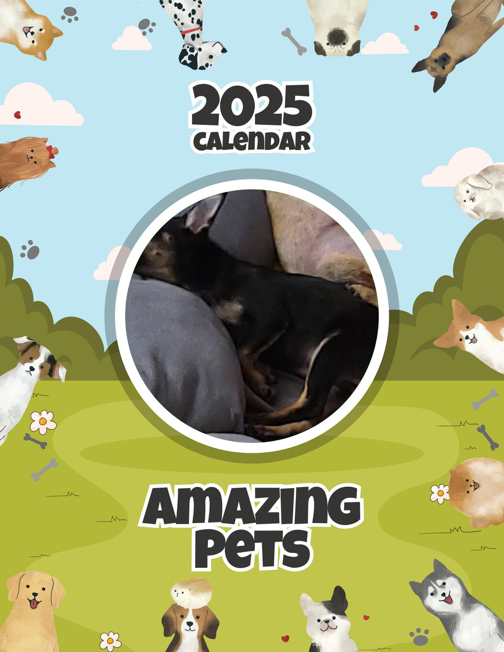 Amazing Pets: 2025 Wall Calendar (Pre-Order)