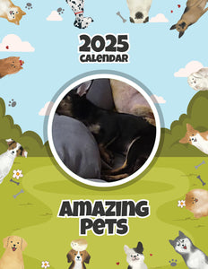Amazing Pets: 2025 Wall Calendar (Pre-Order)