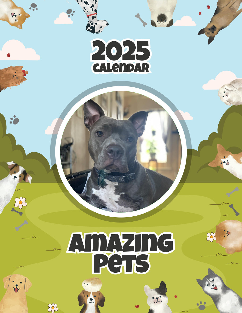Amazing Pets: 2025 Wall Calendar (Pre-Order)