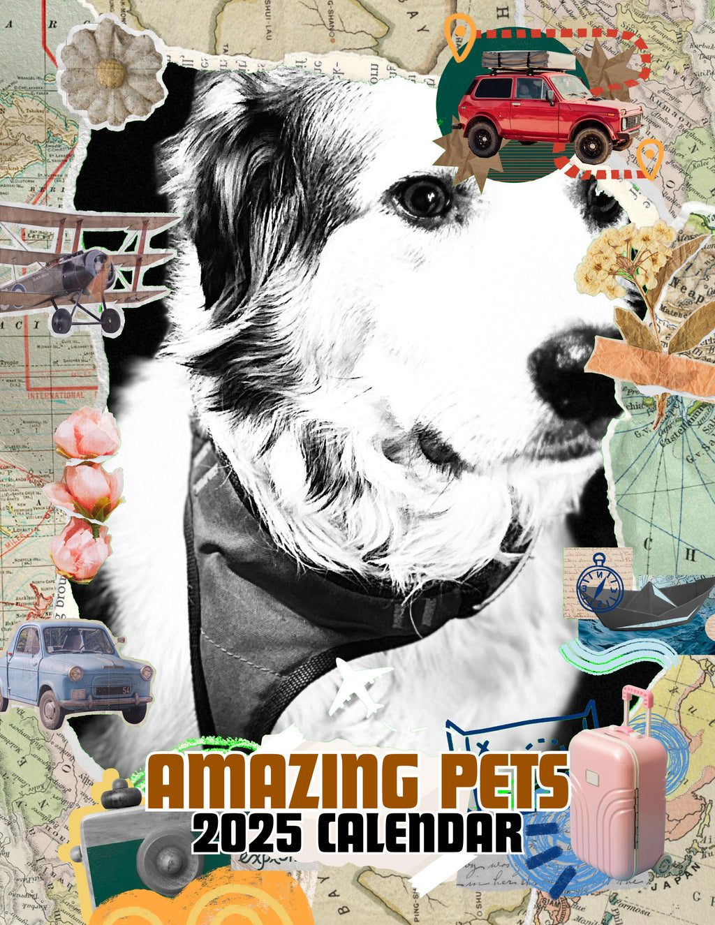 Amazing Pets: 2025 Wall Calendar (Pre-Order)