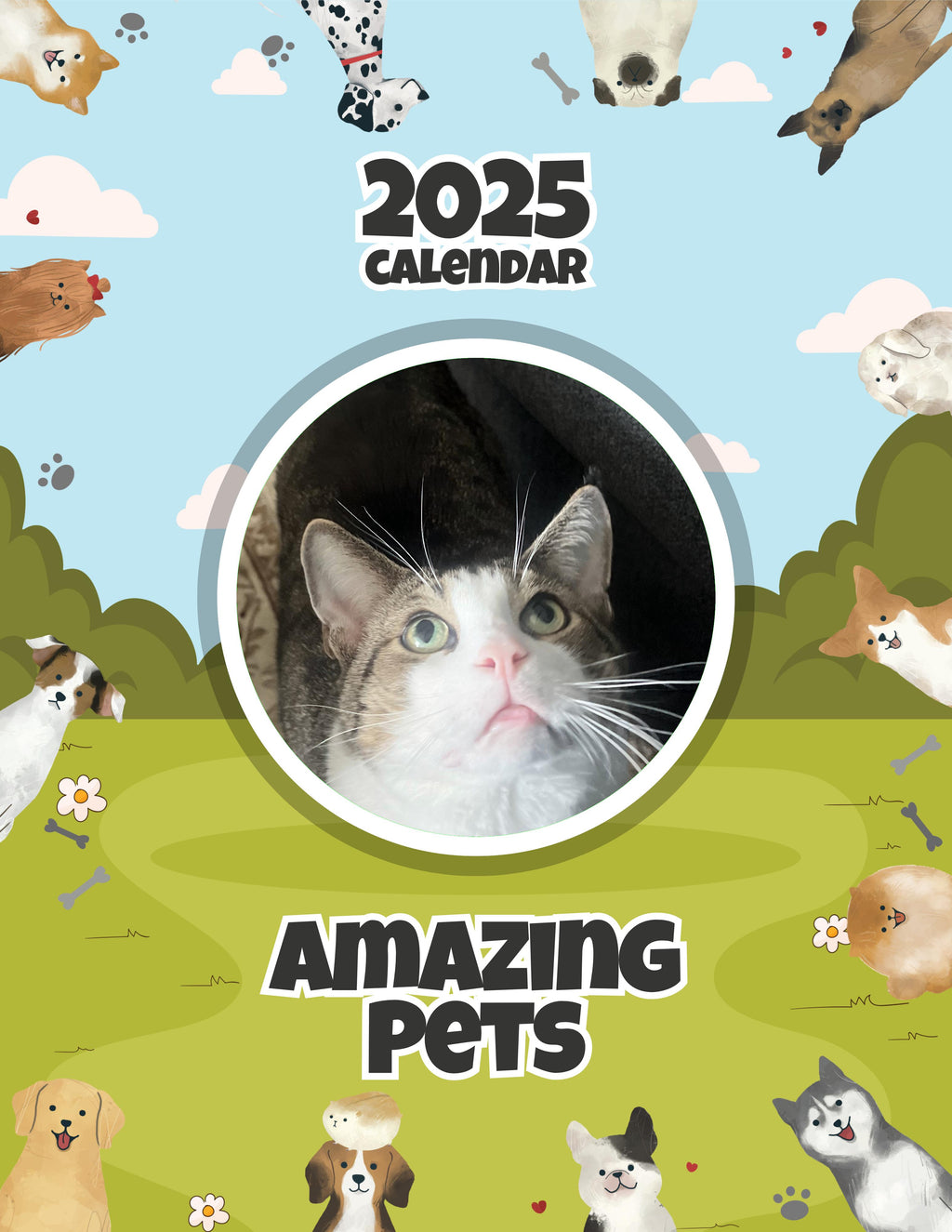 Amazing Pets: 2025 Wall Calendar (Pre-Order)