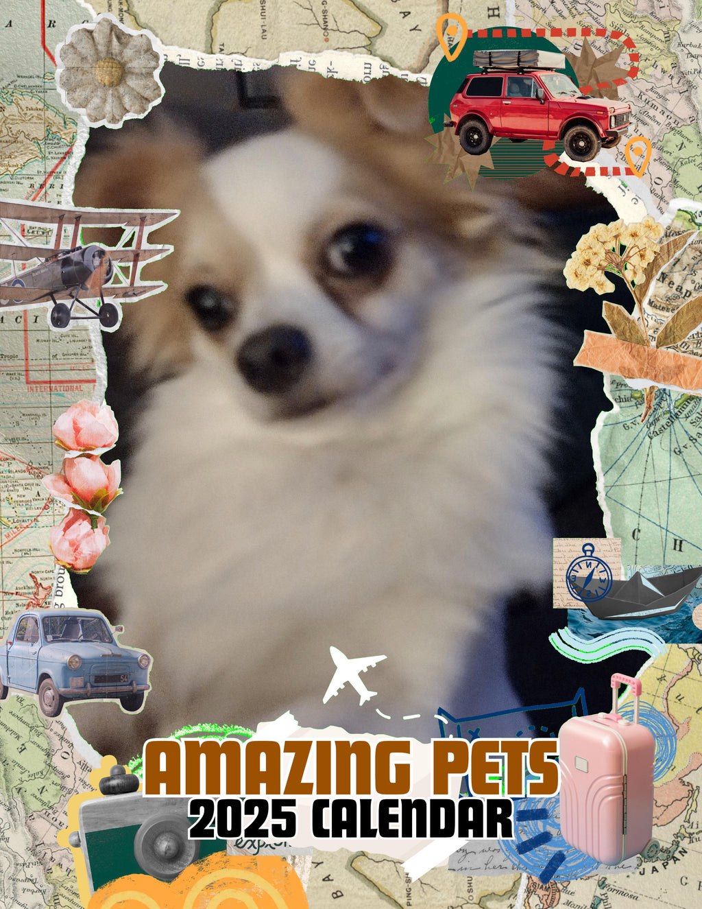 Amazing Pets: 2025 Wall Calendar (Pre-Order)