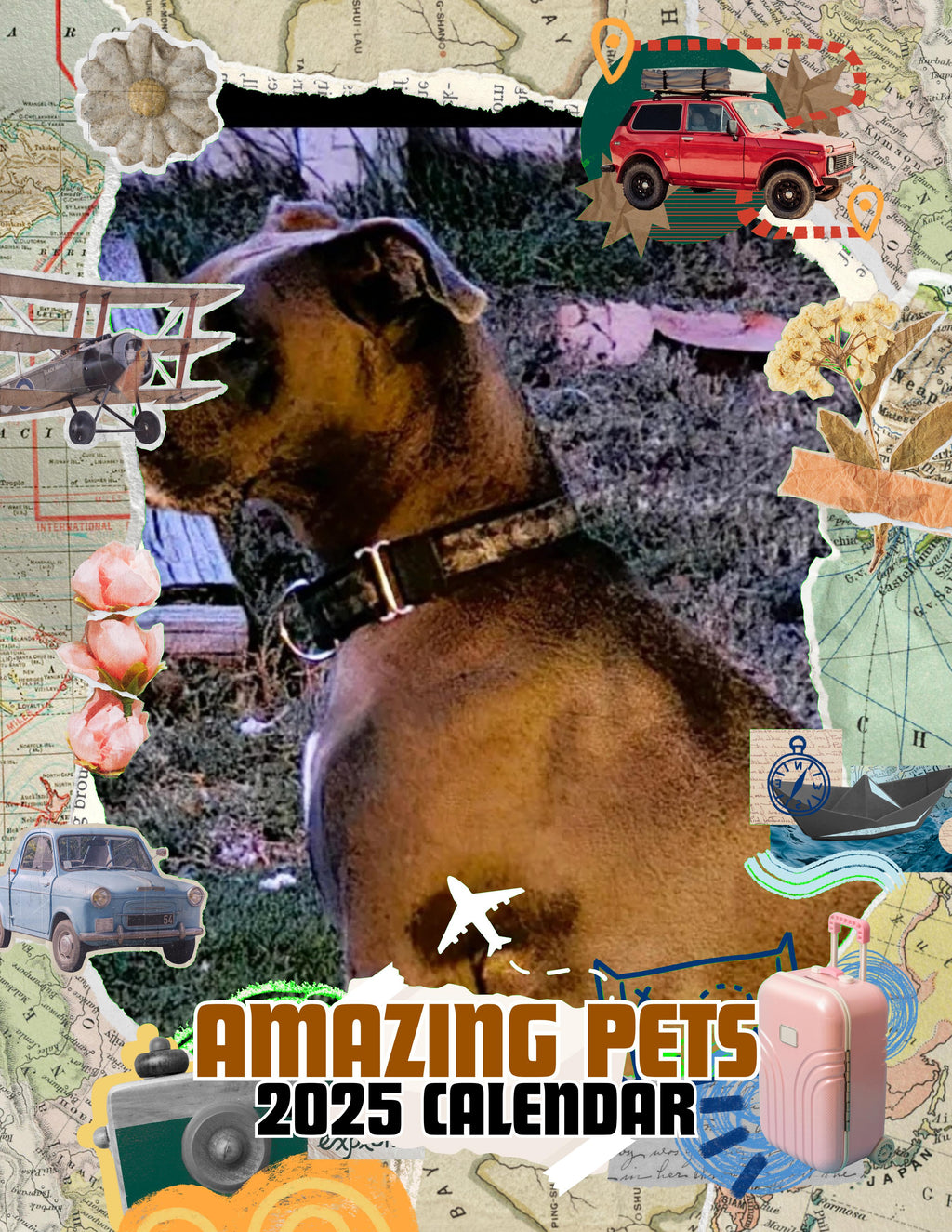Amazing Pets: 2025 Wall Calendar (Pre-Order)