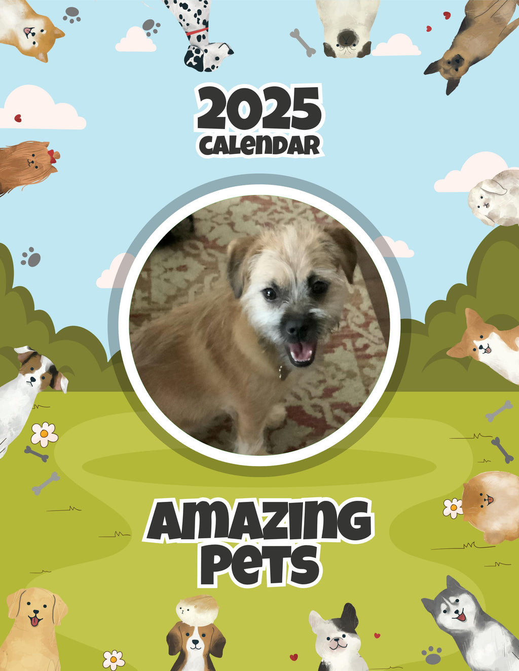 Amazing Pets: 2025 Wall Calendar (Pre-Order)