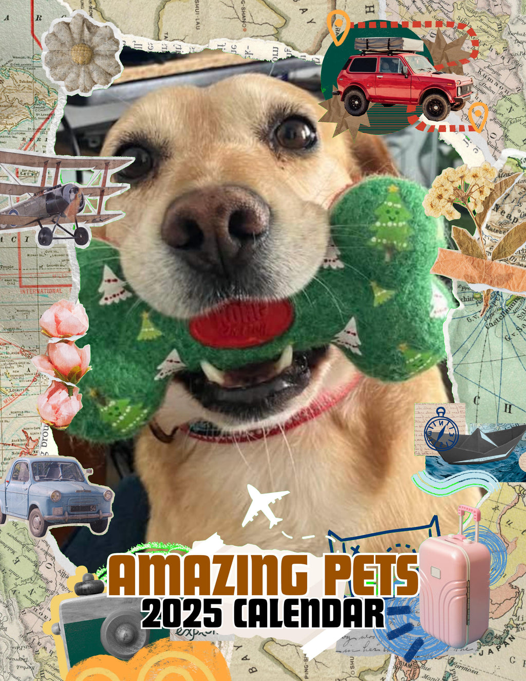 Amazing Pets: 2025 Wall Calendar (Pre-Order)