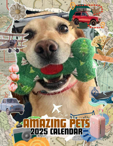 Amazing Pets: 2025 Wall Calendar (Pre-Order)