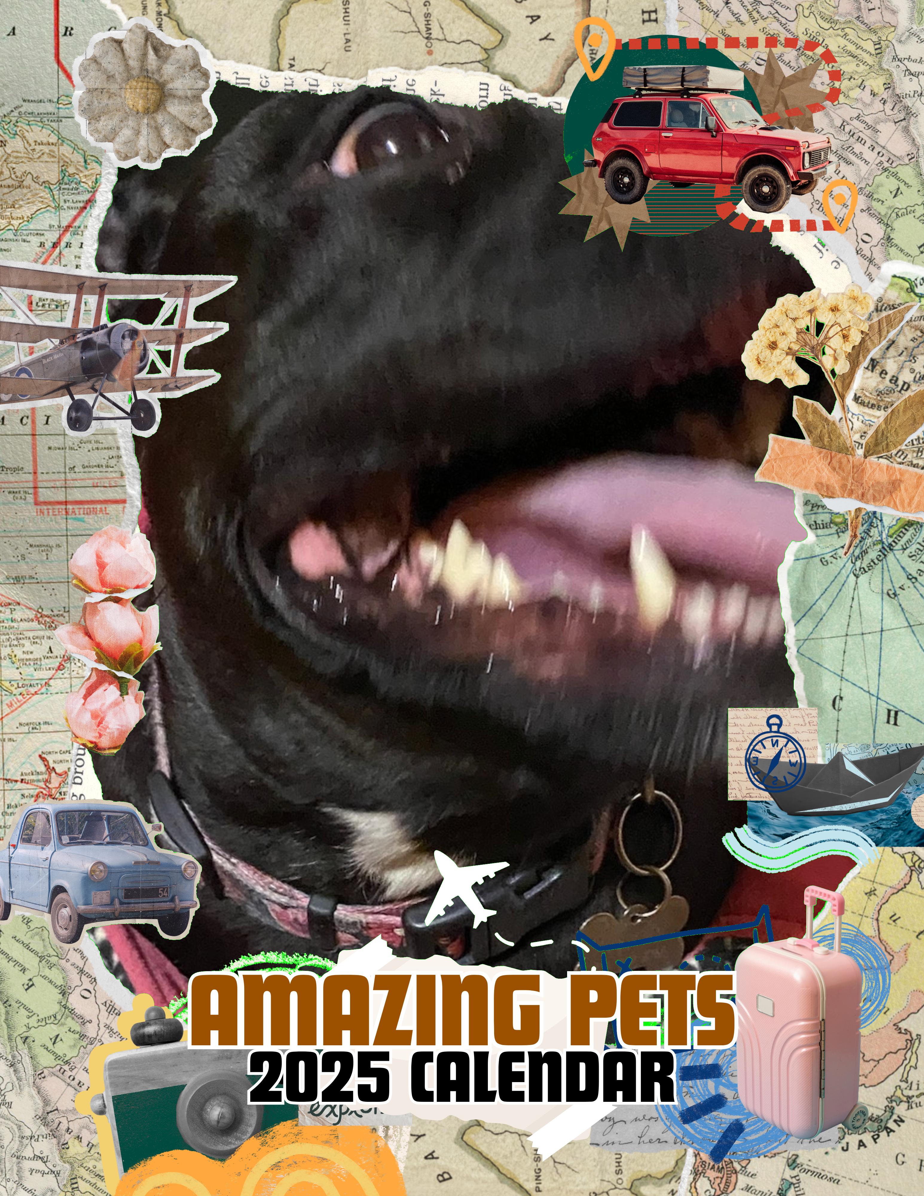 Amazing Pets: 2025 Wall Calendar (Pre-Order)